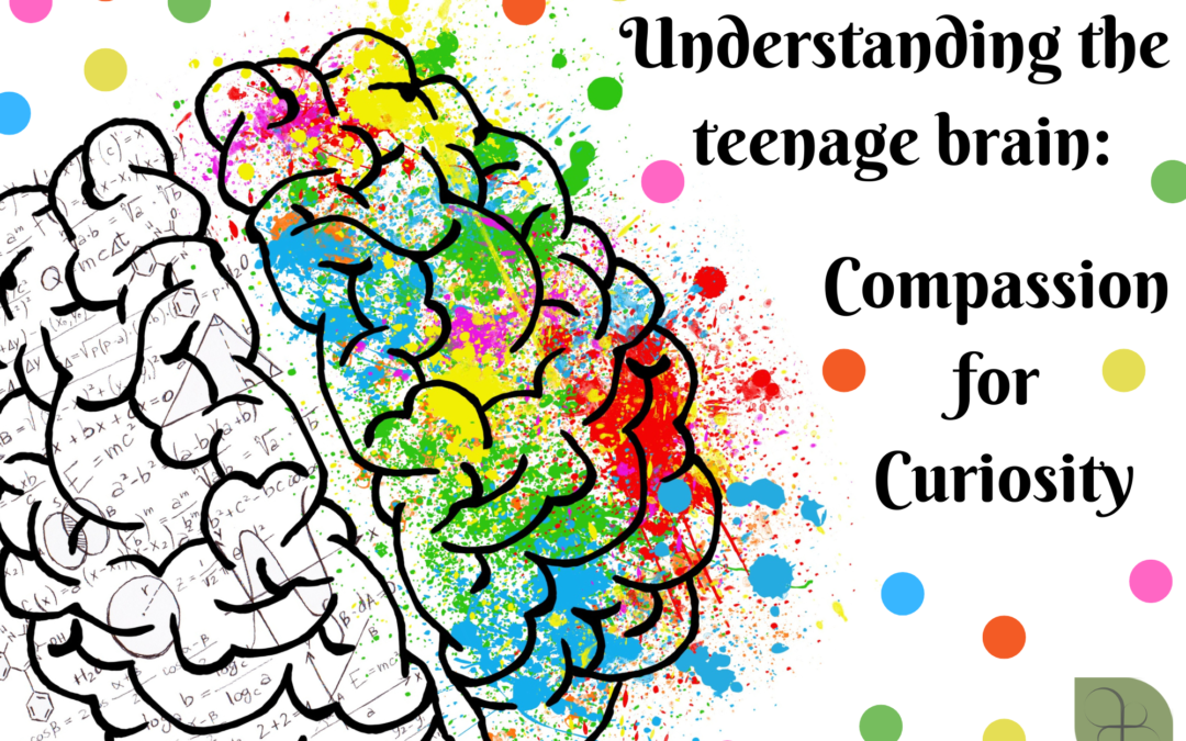 Understanding the teenage brain: Compassion for Curiosity